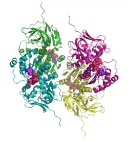 Sorbitdehydrogenase