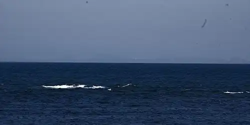 Blick vom Ufer aus auf Sachalin