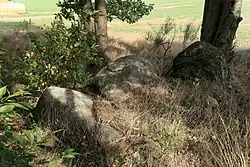 Großsteingrab Spahn 2