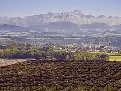 Blick über das Thurtal, September 2019