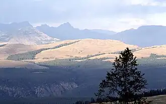 Specimen Ridge, vom Mount Washburn aus gesehen