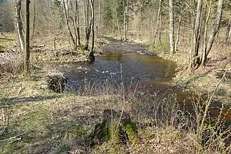 Einmündung der Breitenbeek in die Sperrlutter