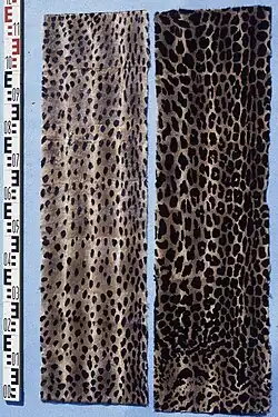 2 Zieseltafelteile, bedruckt