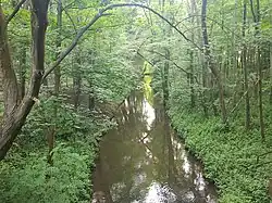 Speyerbach zwischen Lambrecht und Neustadt