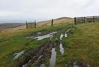 Kuppe des Spittal Hill