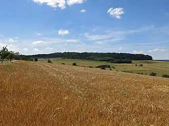 Spitzenstein von Südosten