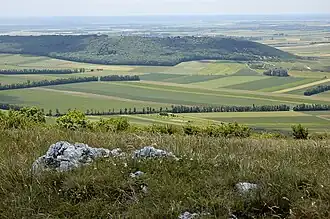 Der Spitzerberg von Norden vom Hexenberg