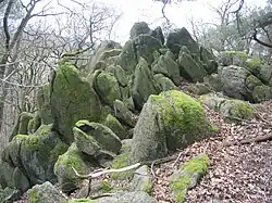 Gipfel der Flasergranitoid-Felsgruppe Spitzestein