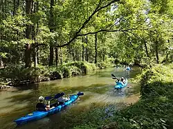 Paddler im Hochwald des Spreewalds in Burg