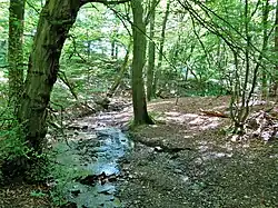 Oberes Felderbachtal