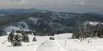 Stübenwasen vom Feldberg mit Belchen im Hintergrund