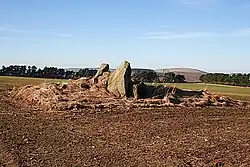 St Brandan’s Stanes