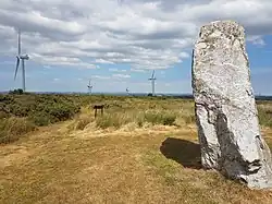 Menhir von St Breock Downs