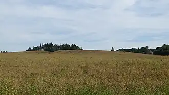 Lindenberg (Mitte) und Stadtberg (rechts)