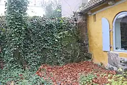 Die fast gänzlich bewachsene Stadtmauer im Herbst, mit ihren Feldsteinen und Backsteinen darüber.