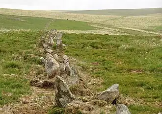 Steinreihe von Upper Erme oder Stall Moor