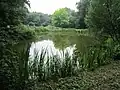 Teich auf dem Gelände des Umweltzentrums Oldenburger Münsterland