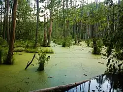 2003/2004 Lebuser Land