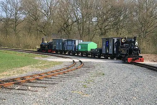 Vorne Marchlyn von Avonside und hinten Sybil Mary von Hunslet