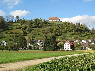 Der Staufberg, mit Rebberg und Staufbergkirche auf dem Gipfelplateau