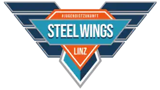 Steel Wings Linz
