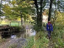 Wanderweg quert die Hönnige