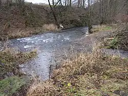 Steinbach-Mündung in Ennepe