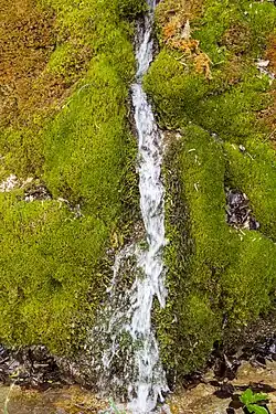 Detailansicht der Rinne