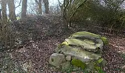 Steinkistengrab von Heerstedt