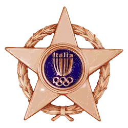 Stella al merito sportivo Bronze