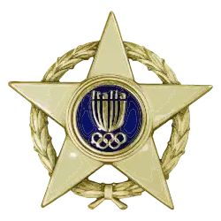 Stella al merito sportivo Gold