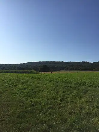 Stellberg aus nördlicher Richtung