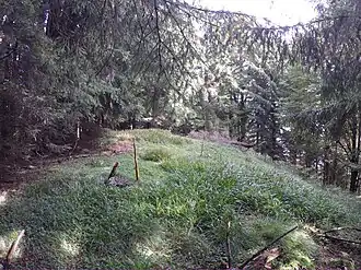 Gipfelbereich des Sternecks