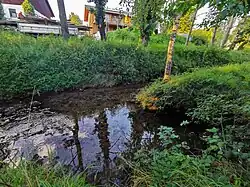 Zusammen­fluss von Stettener Haldenbach und Strümpfelbach