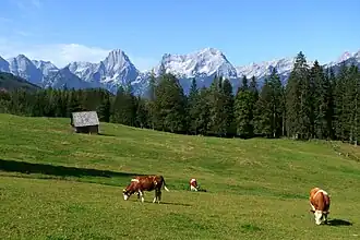 Die Steyrsbergerreith mit der Prielgruppe im Hintergrund