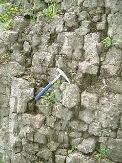 Stinkkalk bei Marsberg mit unregelmäßigem orthogonalem Kluftsystem