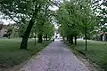 Allee mit Pflasterstraße zum Gutshaus Stolpe