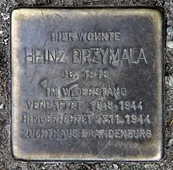 Stolperstein für Heinz Drzymala im Gamsbartweg 12