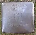 Stolperstein für Dora Löb (Werderstraße 5)