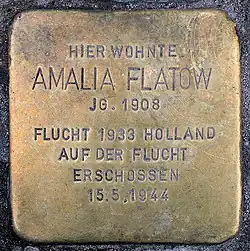 Stolperstein für Amalia Flatow