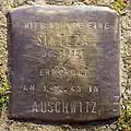 Stolperstein für eine Sinteza (Kämmergasse 14)