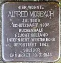 Stolperstein für Alfred Mosbach (Rheinaustraße 18)