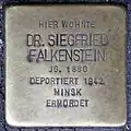 Stolperstein für Dr. Siegfried Falkenstein (Salierring 3)
