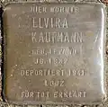 Stolpersteine für Elvira Kaufmann (Mauritiussteinweg 30)