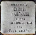 Stolperstein für Helmuth Kaufmann (Kartäuserwall 7)