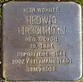 Stolperstein für Hedwig Hirschhorn (Ludolf-Camphausen-Straße 34)