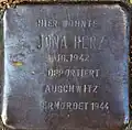 Stolperstein für Jona Herz (Neue Maastrichter Straße 3)