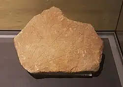 Die Himmelstafel von Tal-Qadi