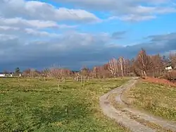 Baumlehrpfad und Schwemmland in Neutal – Blick flussaufwärts