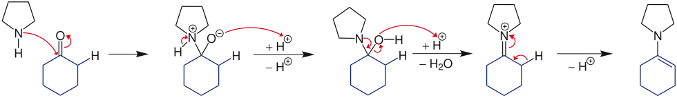 Darstellung des Enamins